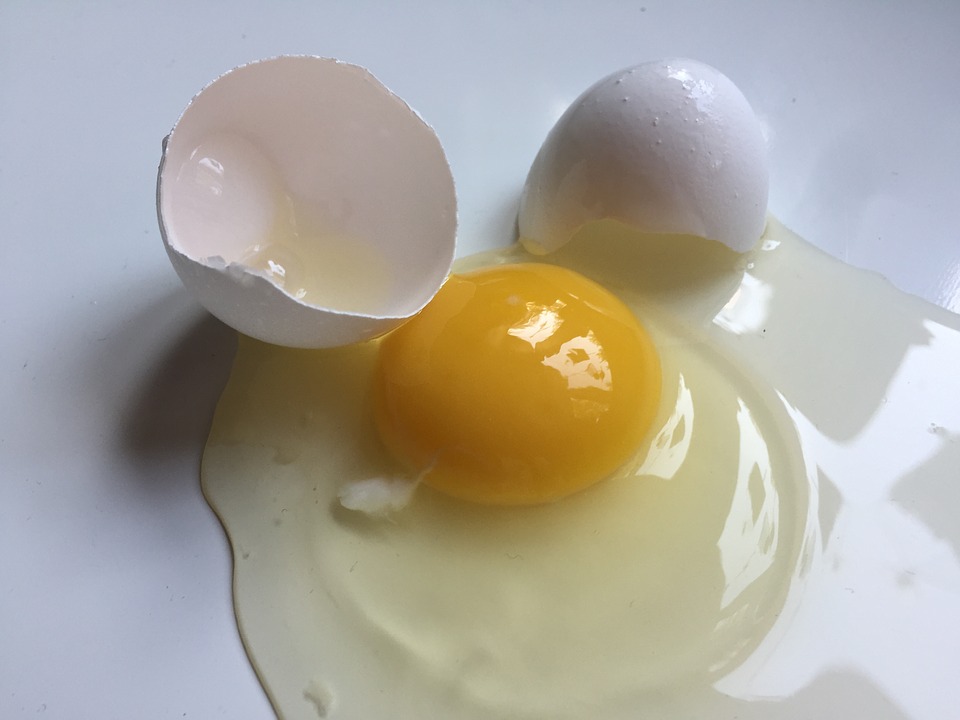 Huevo de gallina