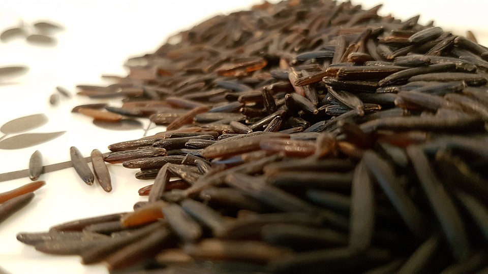 Arroz salvaje