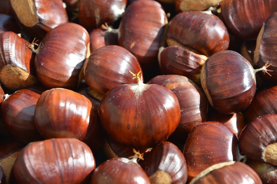 Castañas Castañas