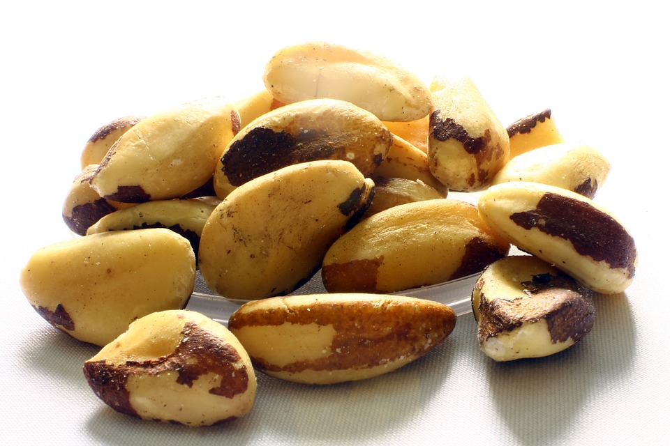 Nueces de brasil Nueces de brasil