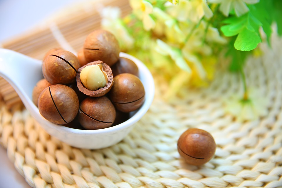 Nueces de macadamia Nueces de macadamia