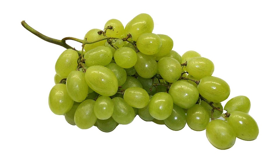 Uva verde