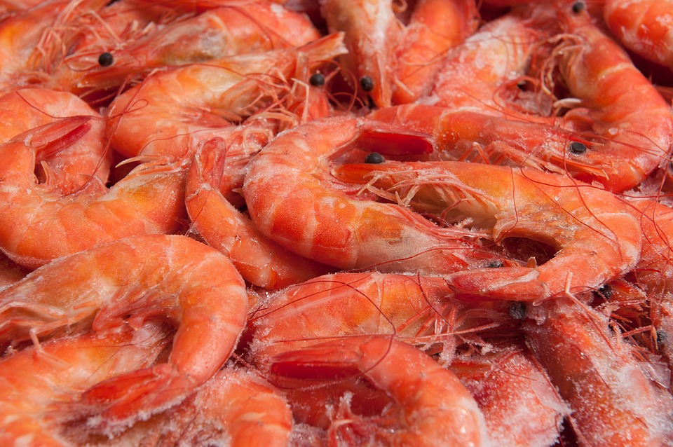Gambas Gambas
