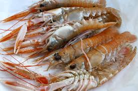 Langostino