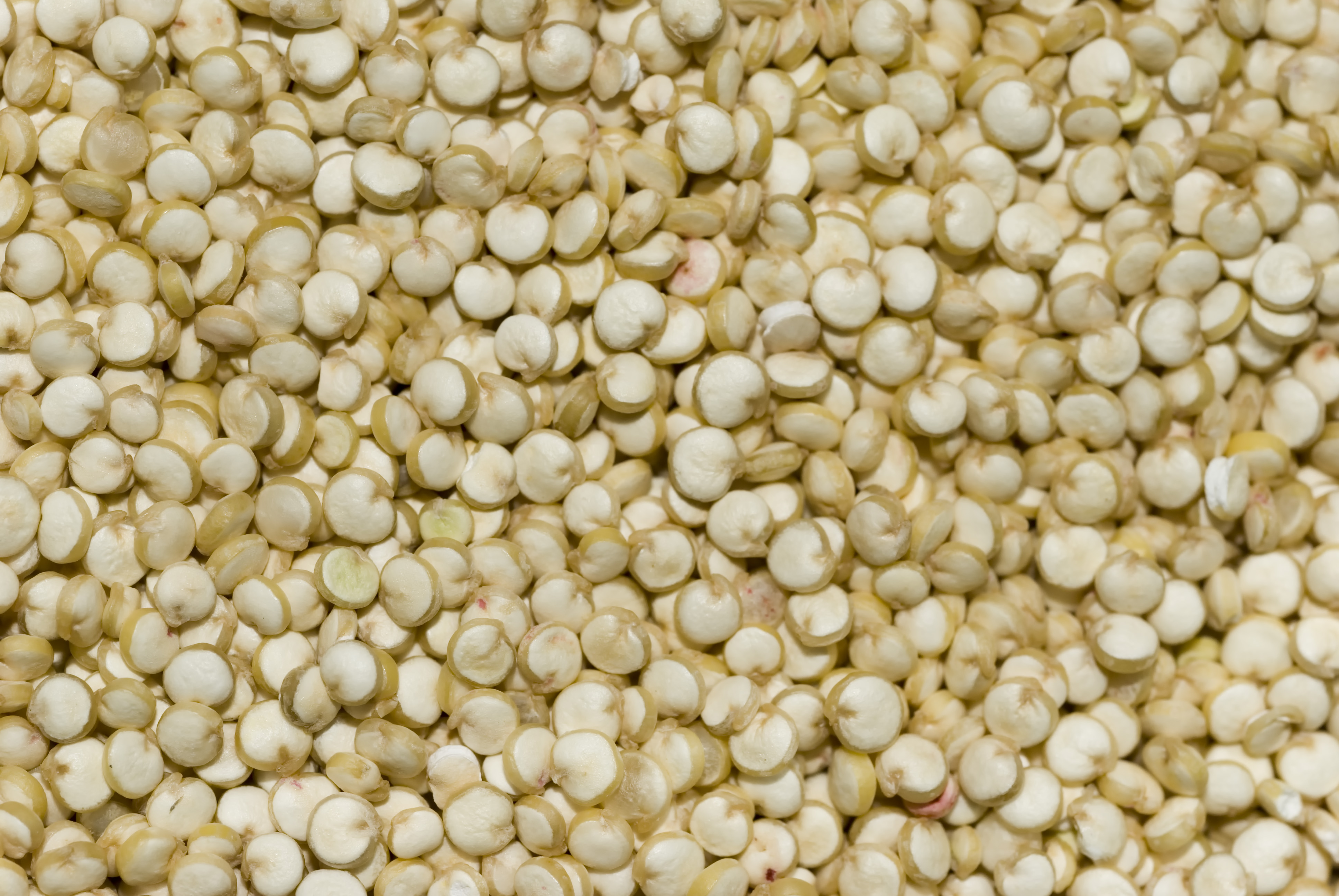 Quinoa Quinoa