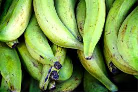 Plátano macho