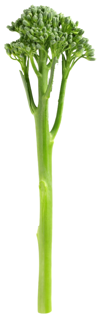 Bimi Bimi