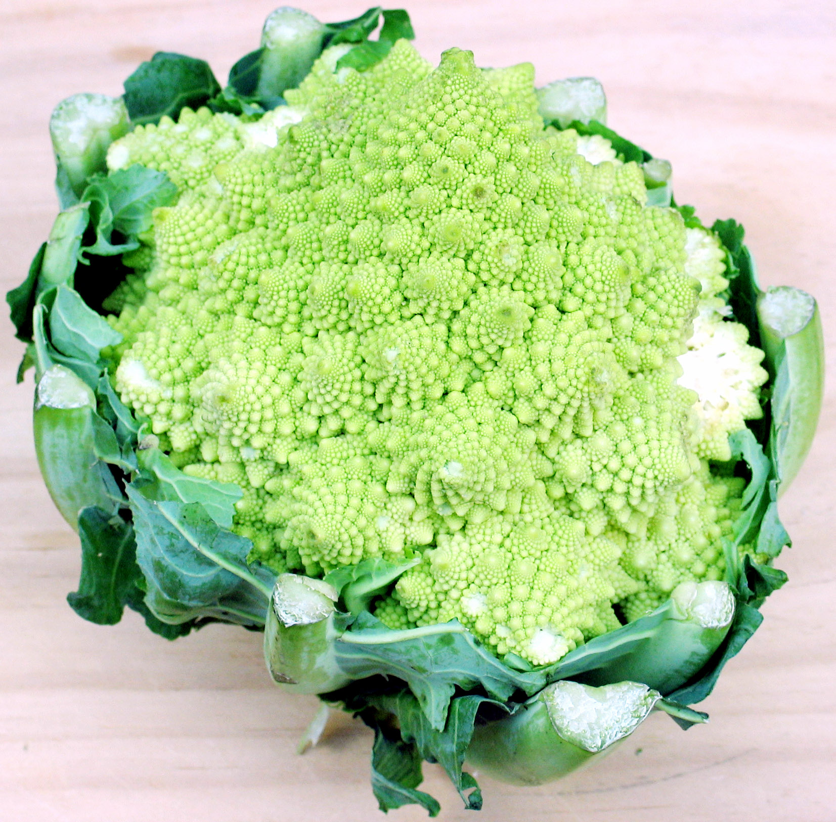 Romanesco Romanesco
