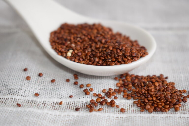 Quinoa roja