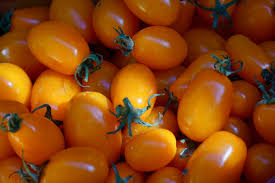 Tomate amarillo Tomate amarillo