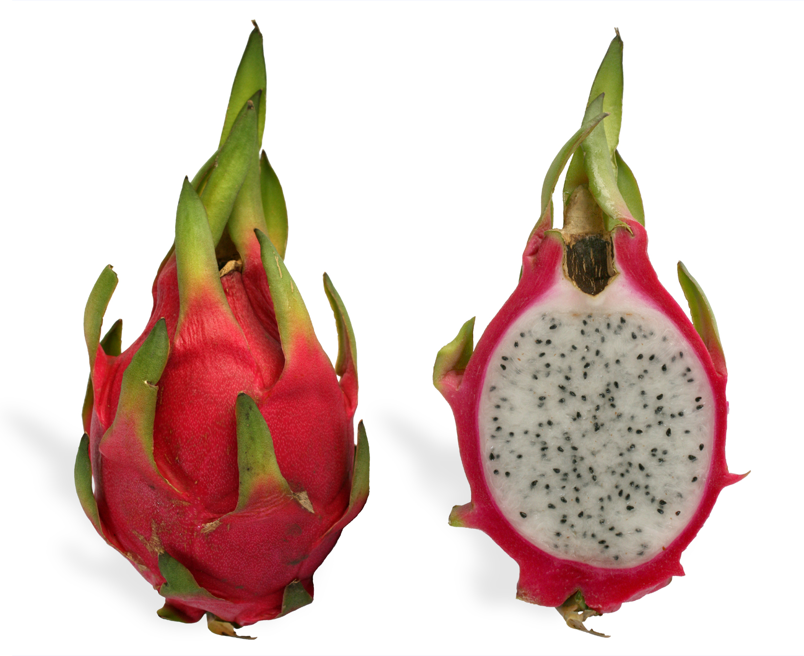 Pitahaya/fruta dragón Pitahaya/fruta dragón