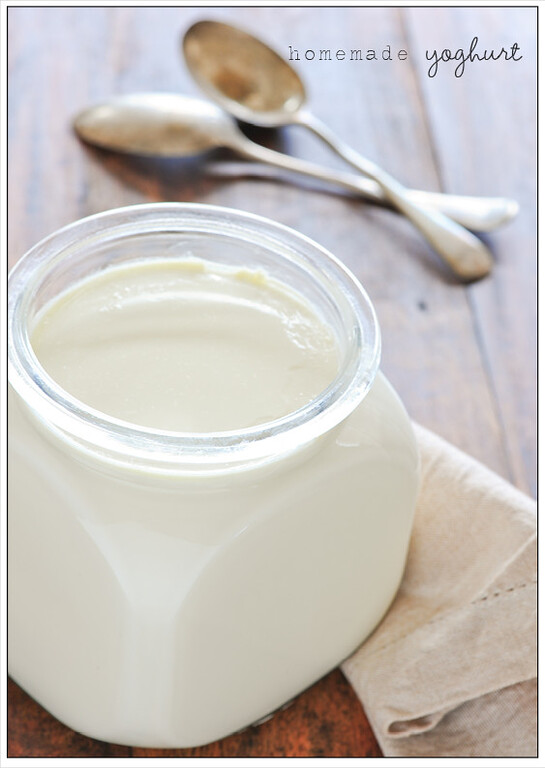 Queso proteico