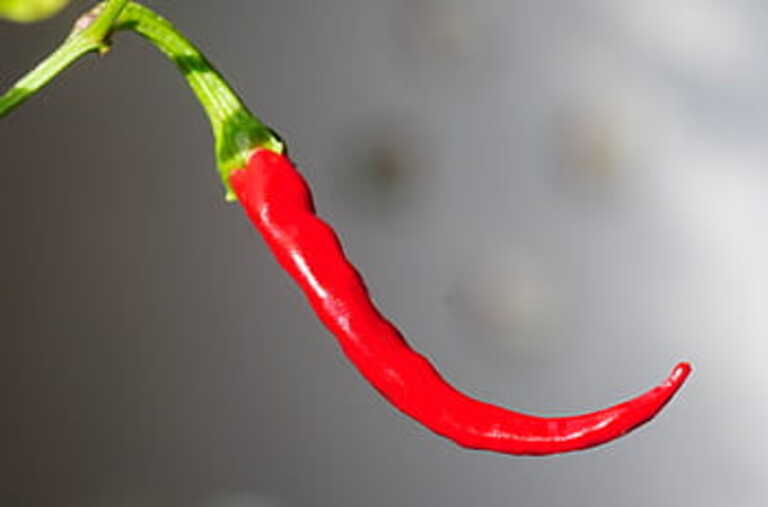 Pimenton rojo de la vera