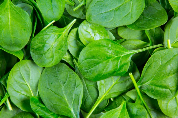 Spinach Spinach