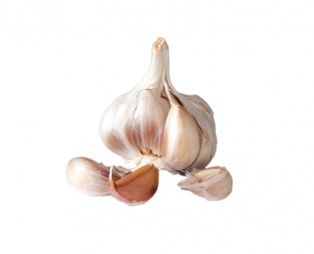 Ajo
