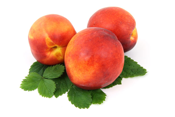 Nectarina