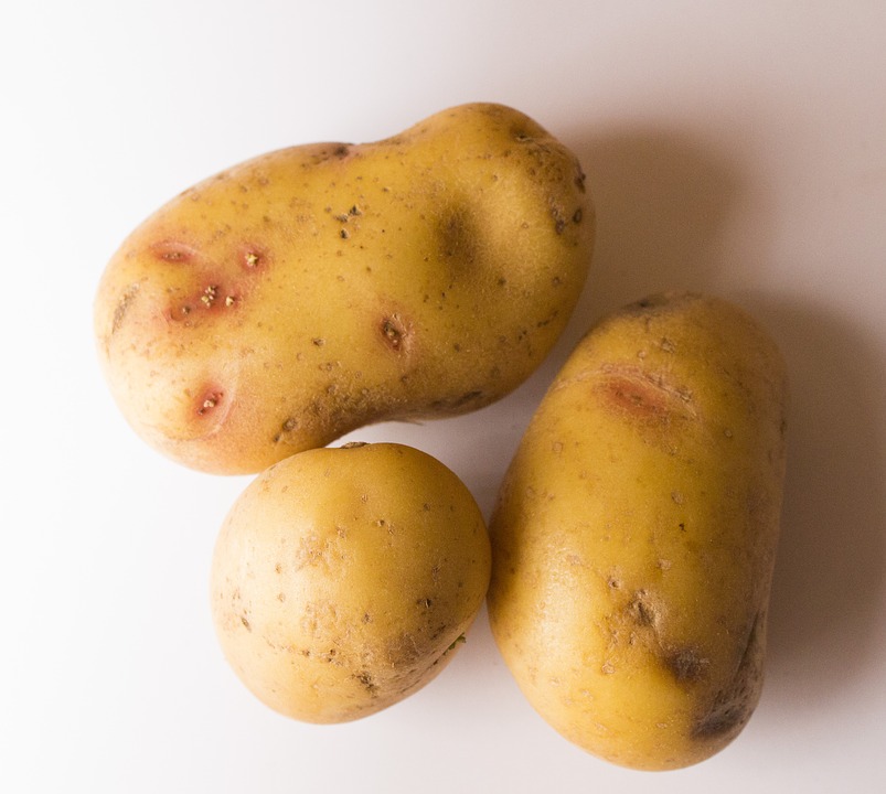 Patata