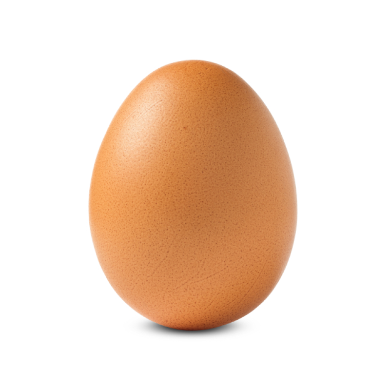 Huevo de gallina Huevo de gallina