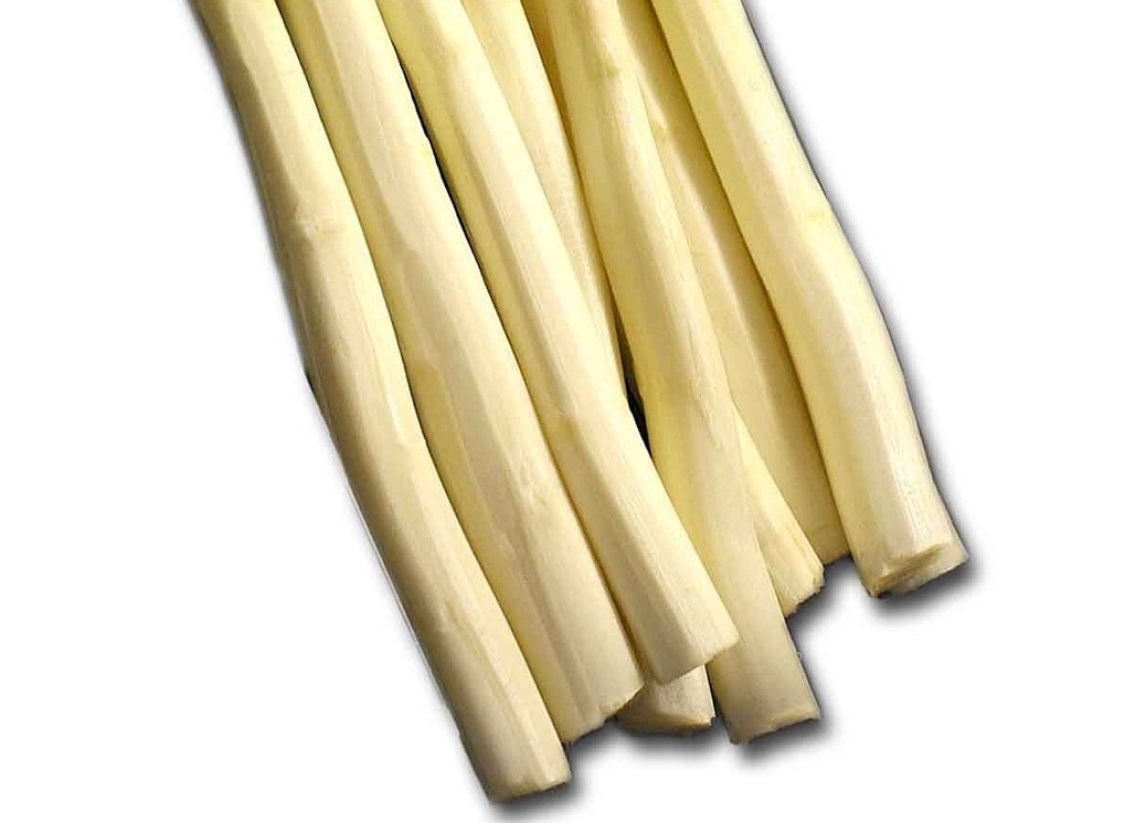 Palmito Palmito