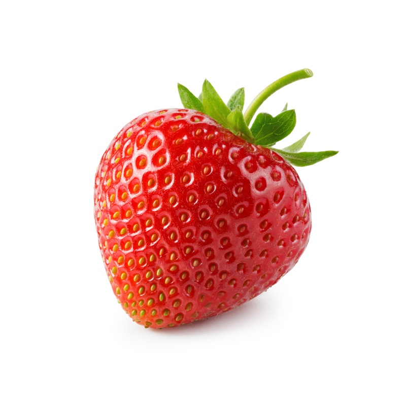 Fresa Fresa