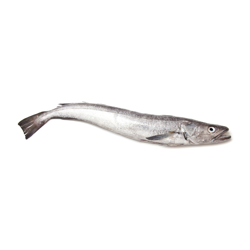 Merluza Merluza
