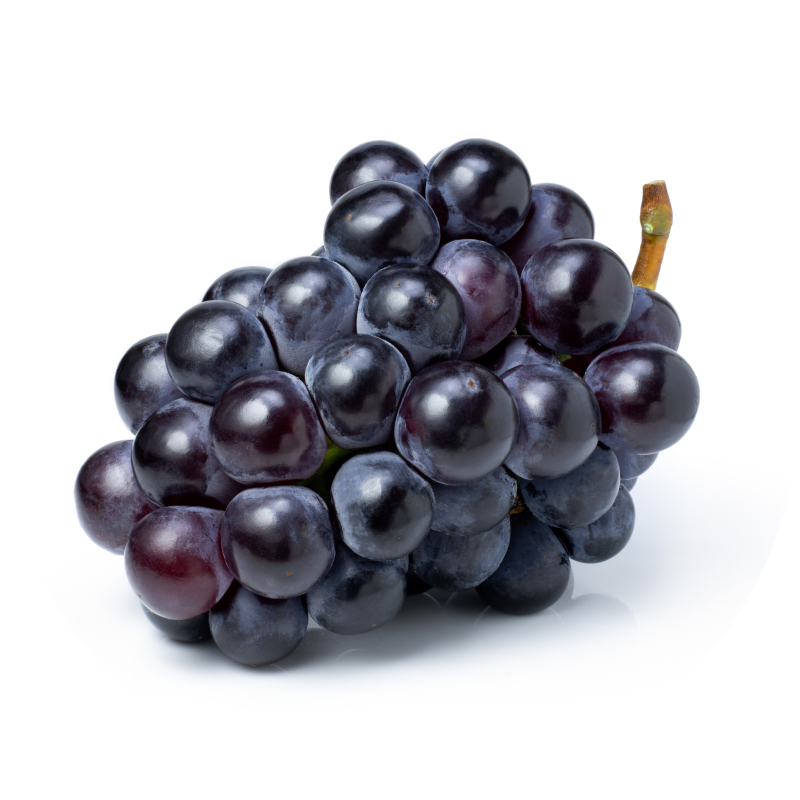 Uva negra Uva negra