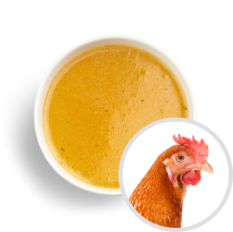 Caldo de pollo Caldo de pollo