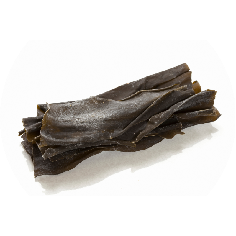 Alga kombu Alga kombu