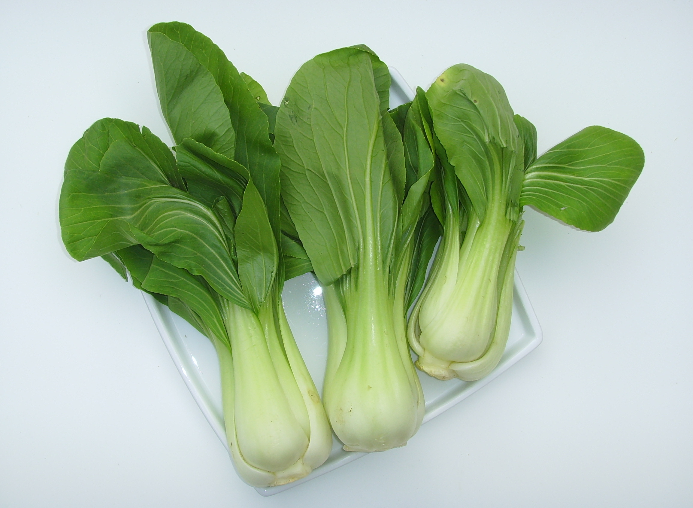 Pak choi Pak choi