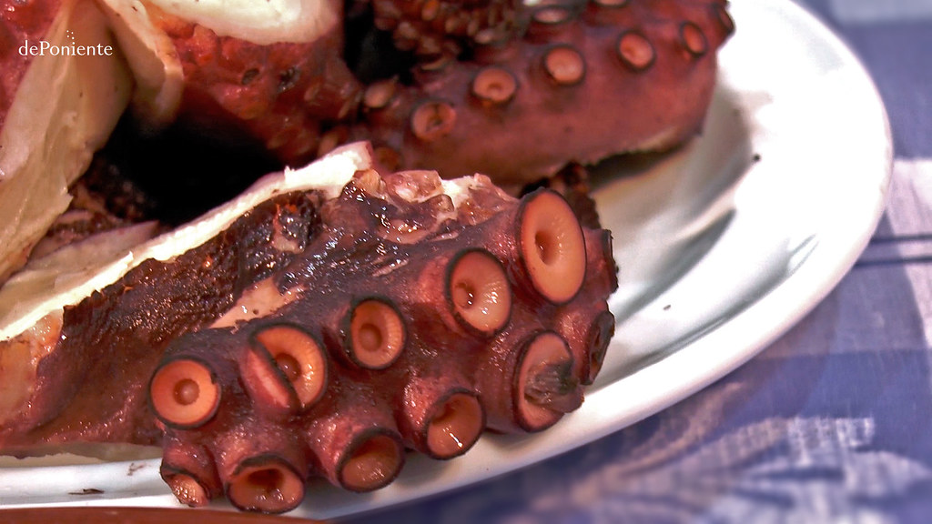 Pulpo cocido Pulpo cocido
