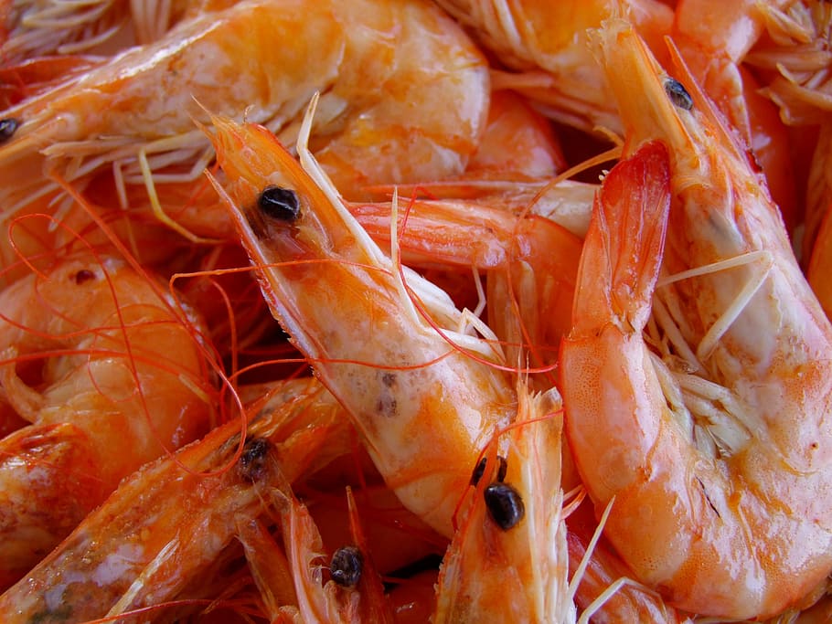 Gamba cocida Gamba cocida