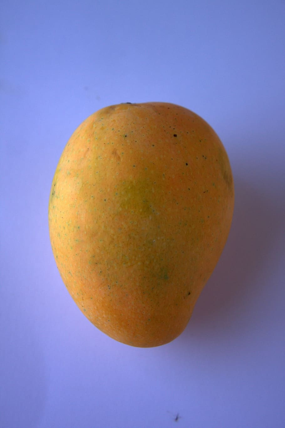 Mini mango Mini mango