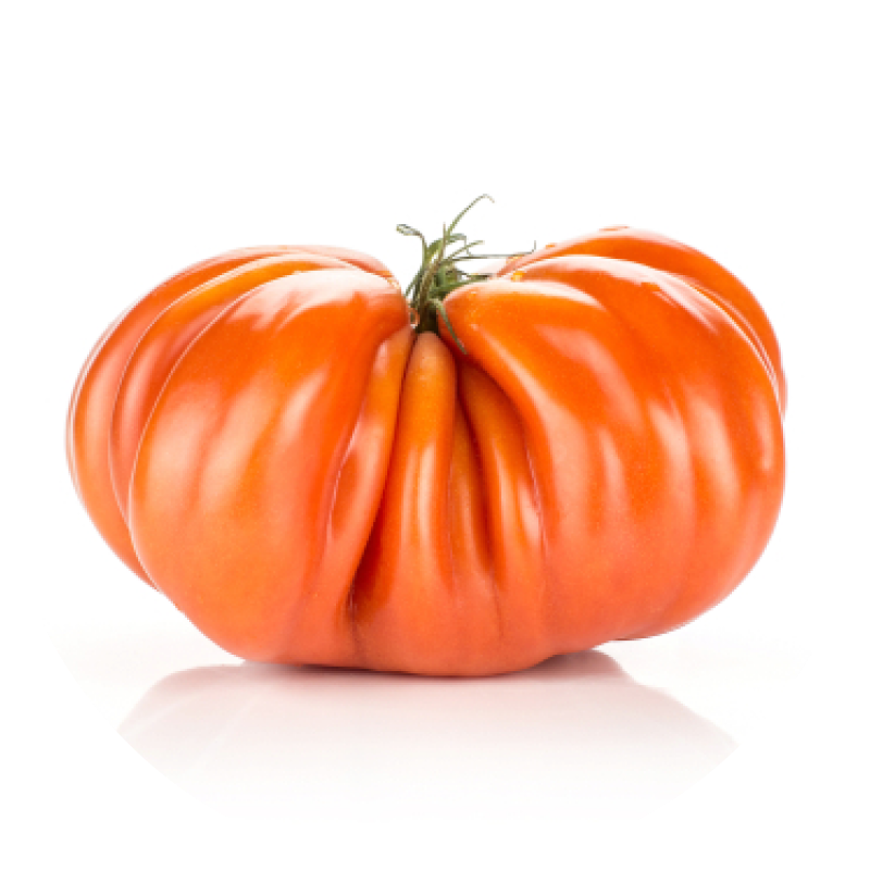 Tomate corazón de buey Tomate corazón de buey