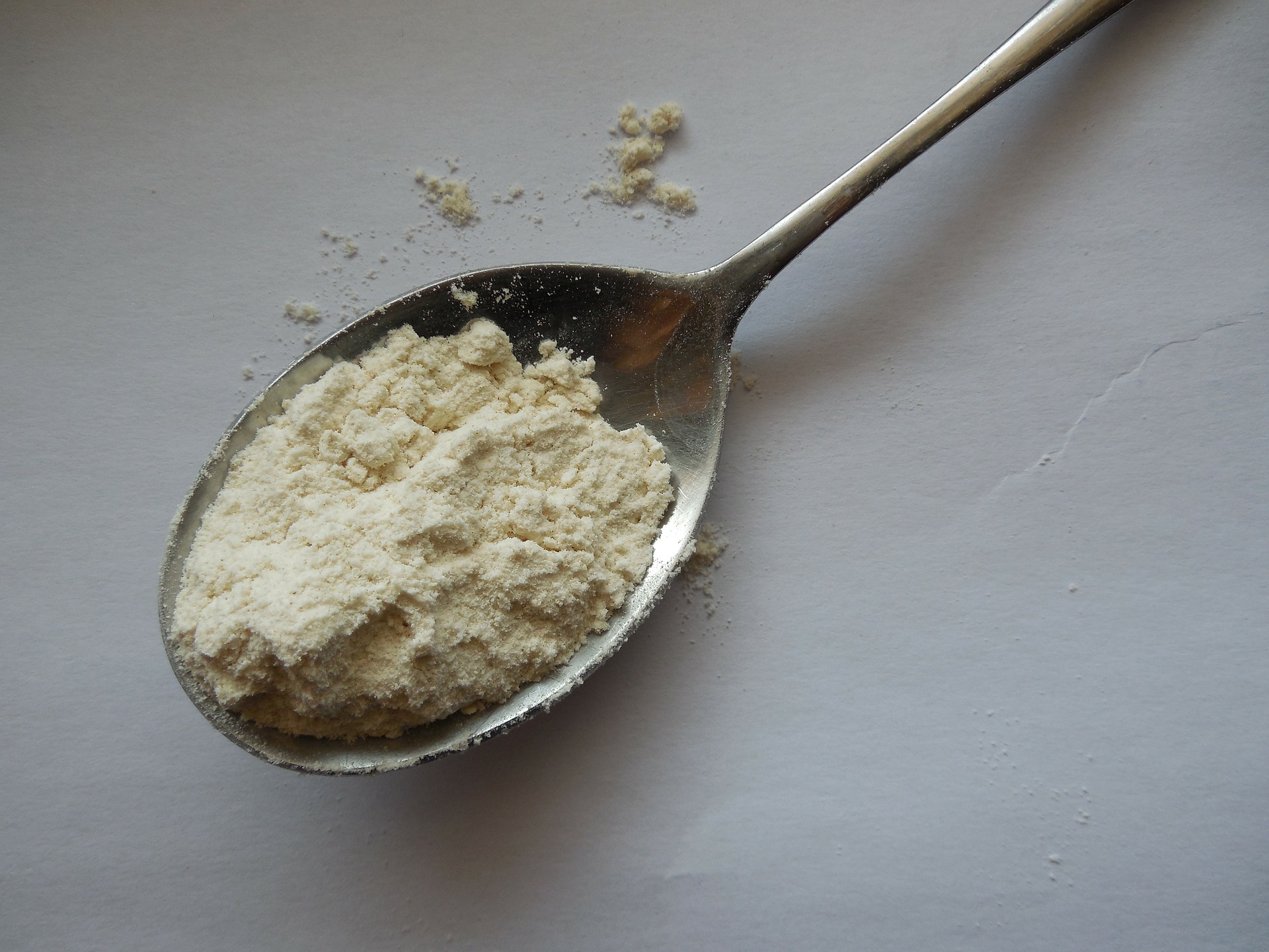 Gluten de trigo en polvo Gluten de trigo en polvo