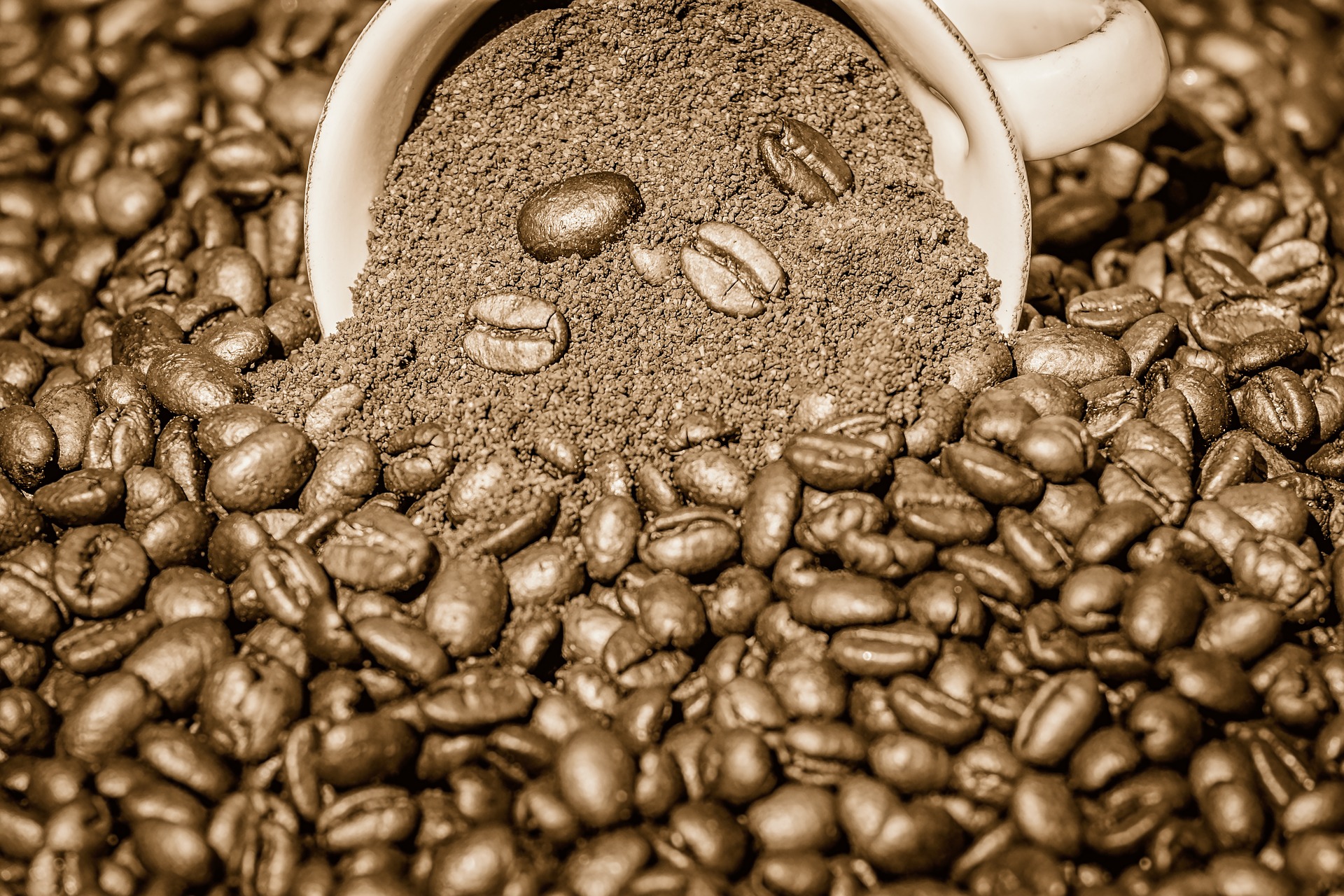 Café natural Café natural