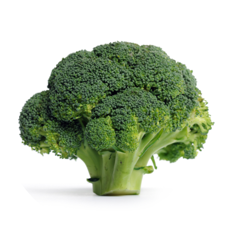 Brócoli