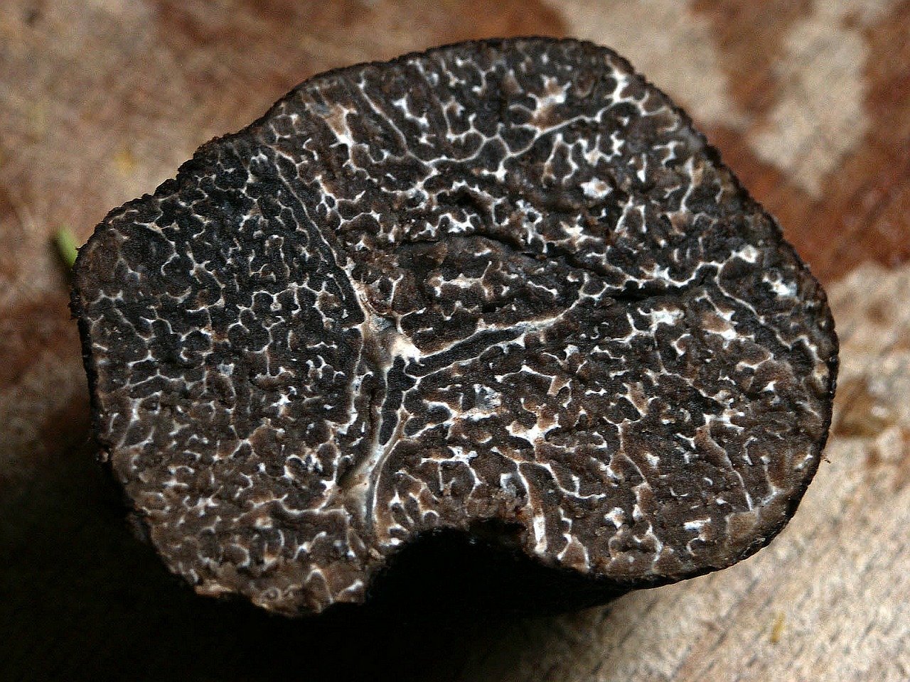 Trufa negra Trufa negra
