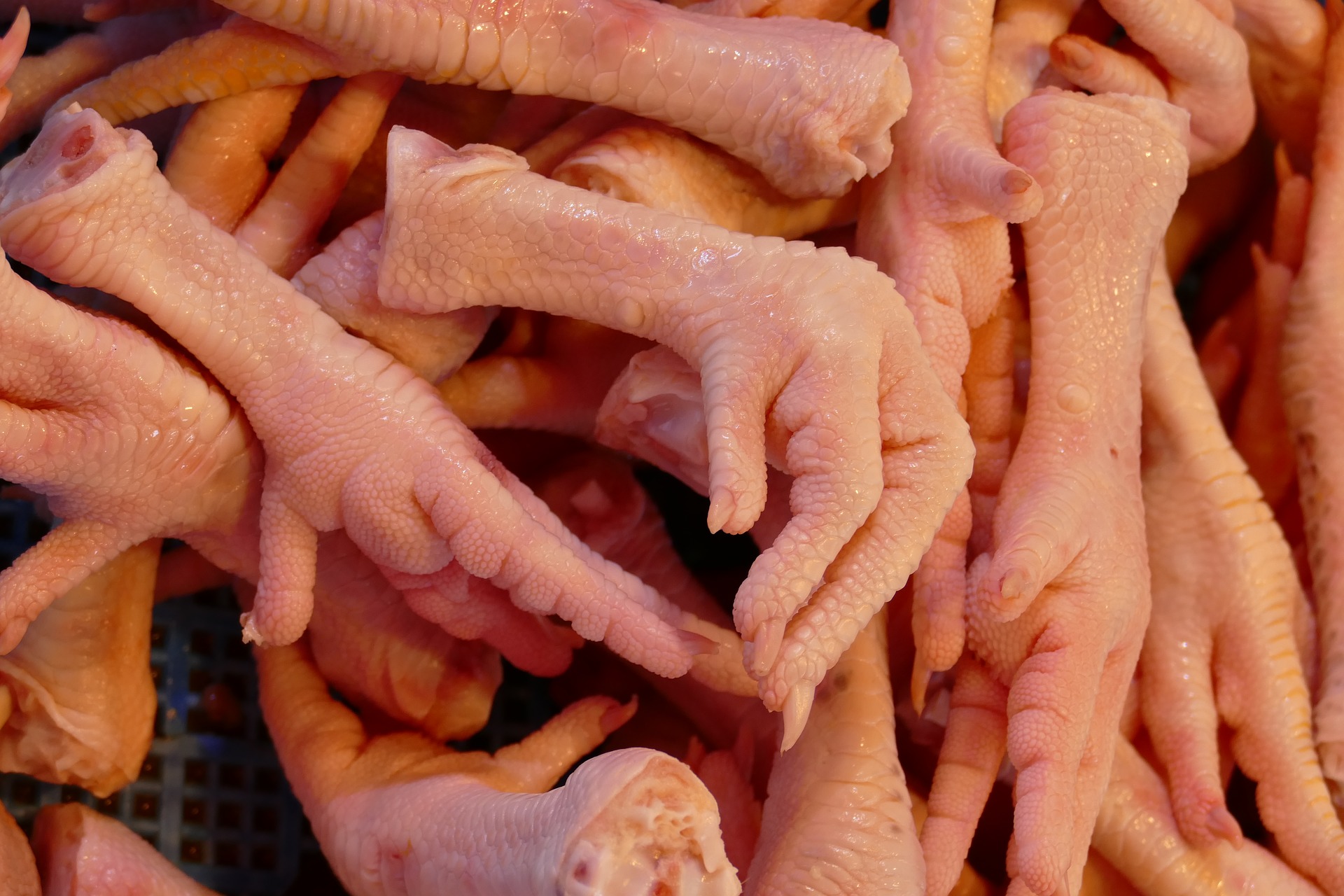 Patas de pollo