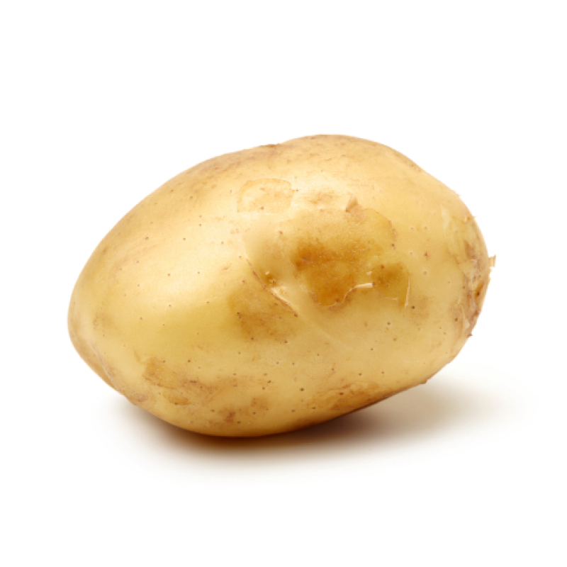 Patata