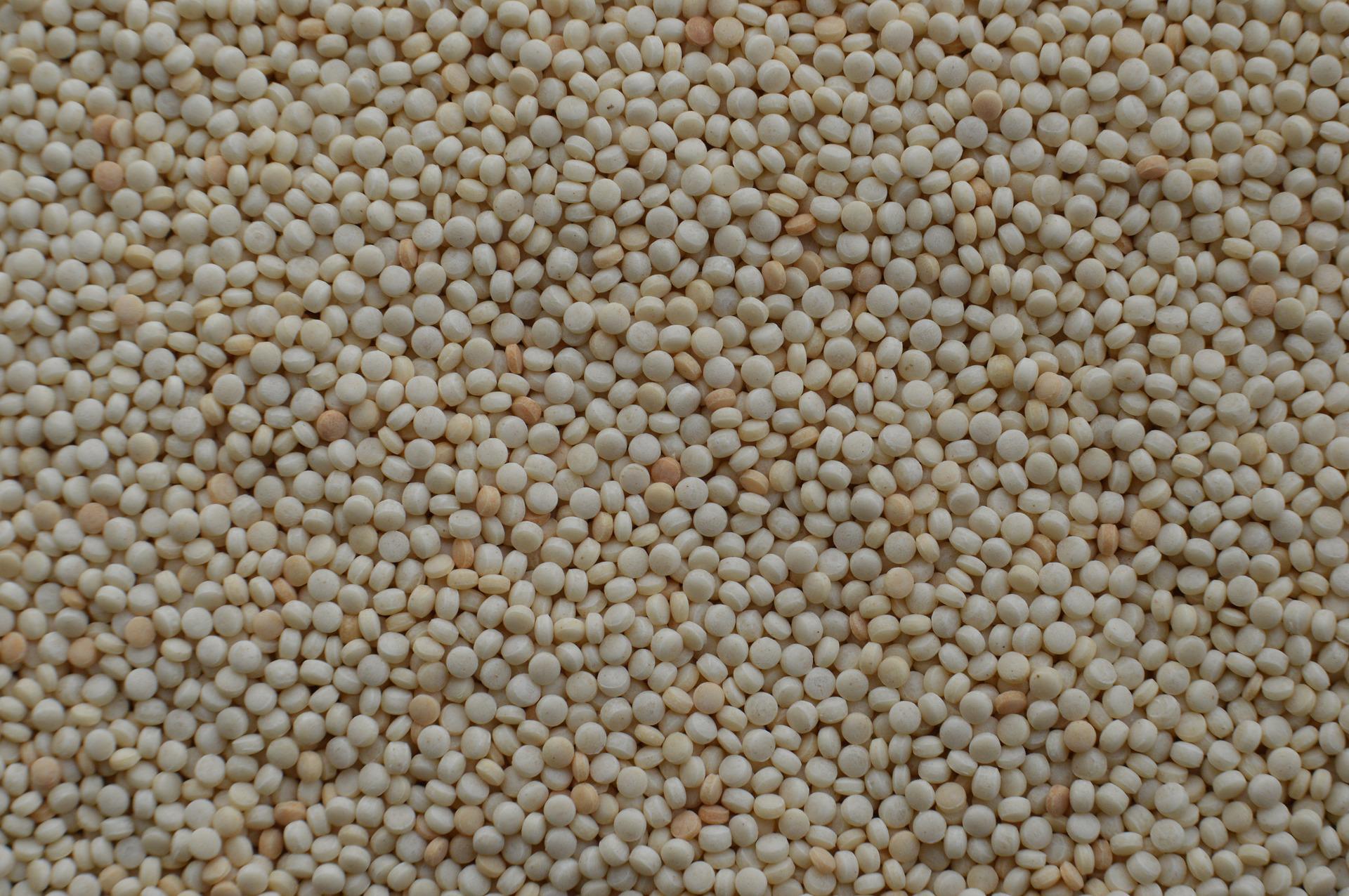 Cuscús de maíz Cuscús de maíz