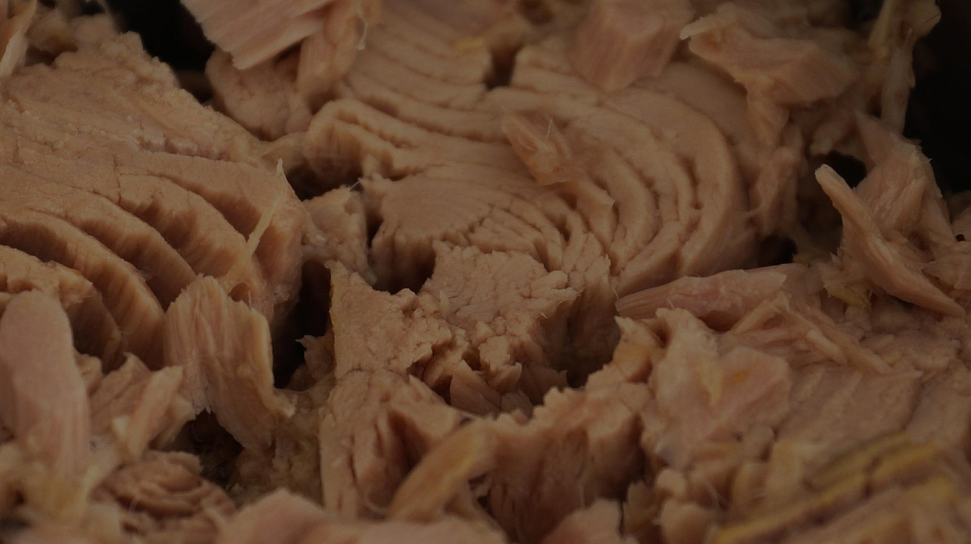 Atún en aceite de oliva