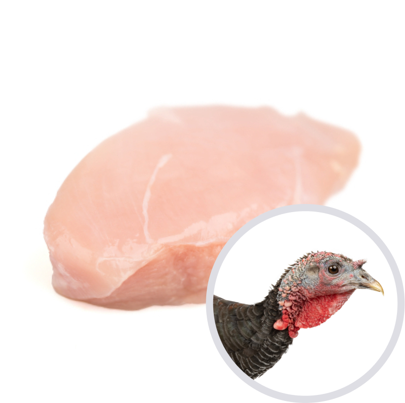 Pechuga de pavo