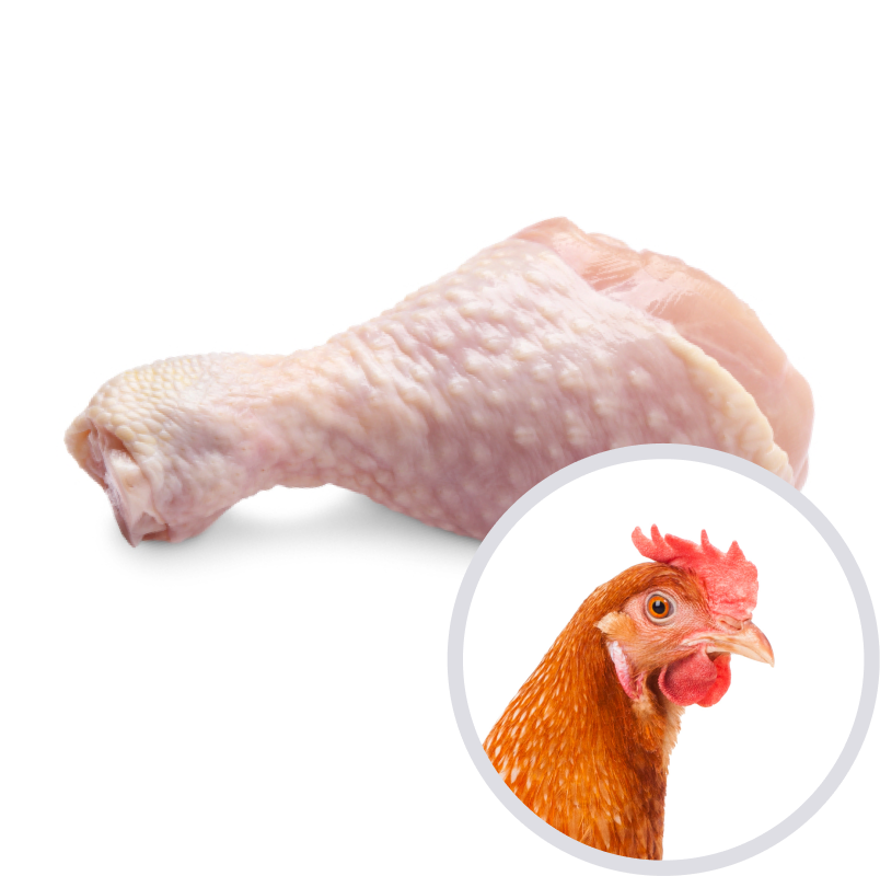 Muslo de pollo Muslo de pollo