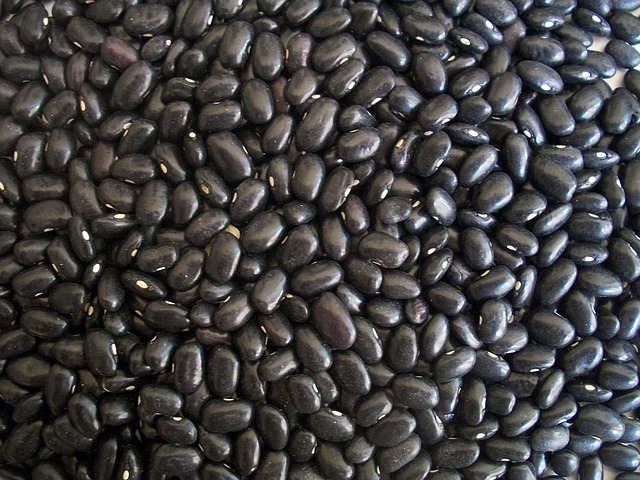 Frijoles negros Frijoles negros