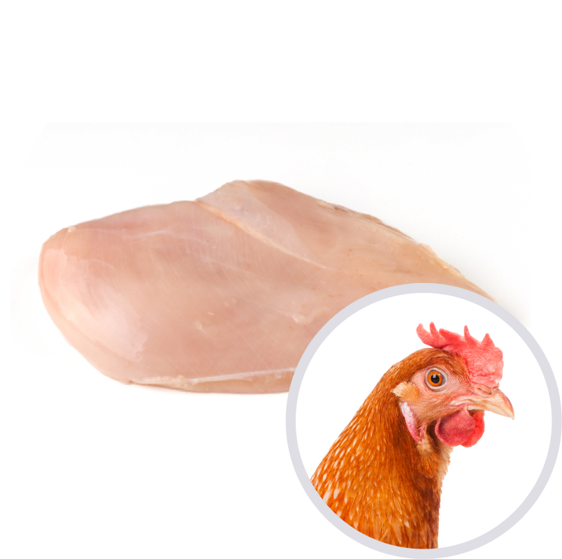 Pechuga de pollo Pechuga de pollo