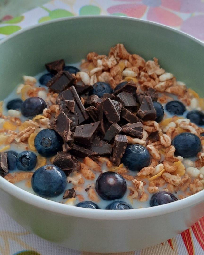 Bol de cereales con arándanos y chocolate .