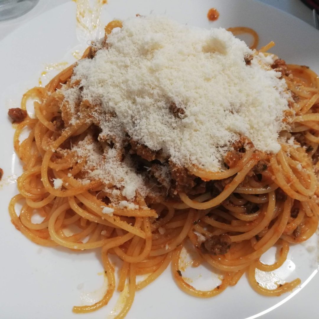 Bolognesa Bolognesa