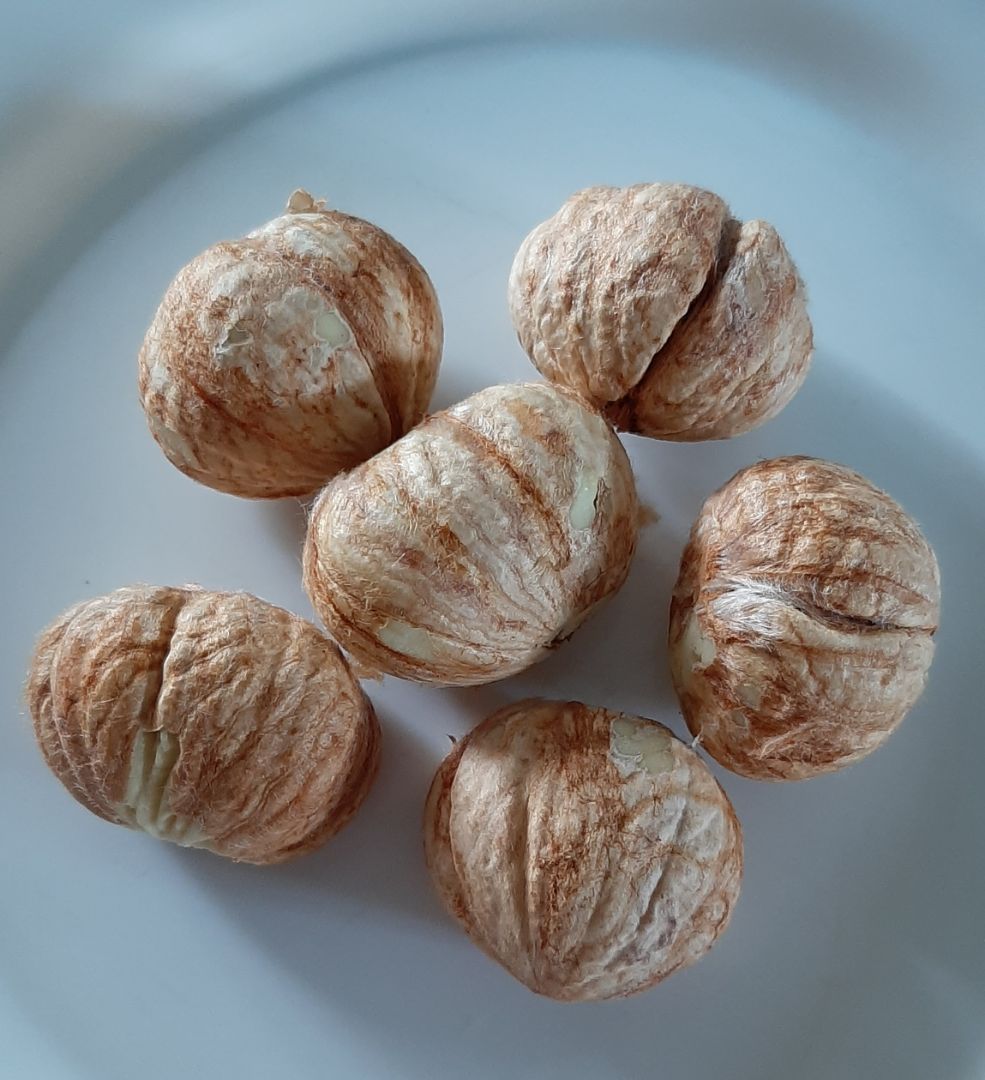 Bombones de Castañas Paso 0 Bombones de Castañas Paso 0
