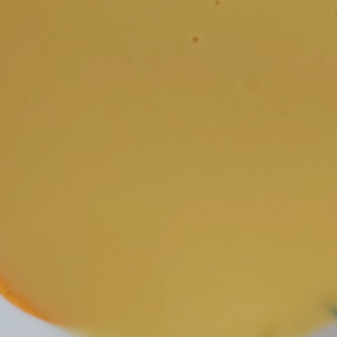 Crema calabacin Crema calabacin