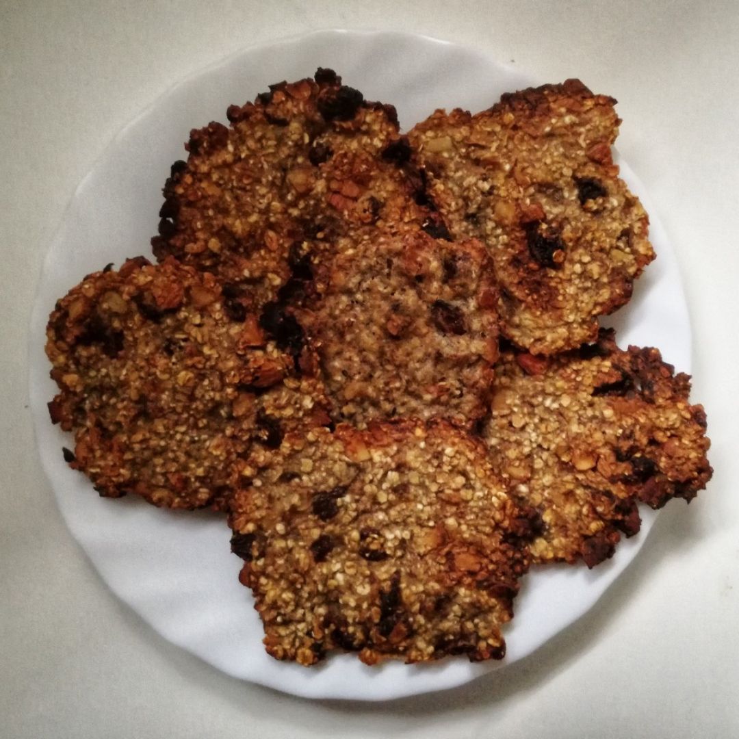 Galletas de avena con almendras y pasas 🐱